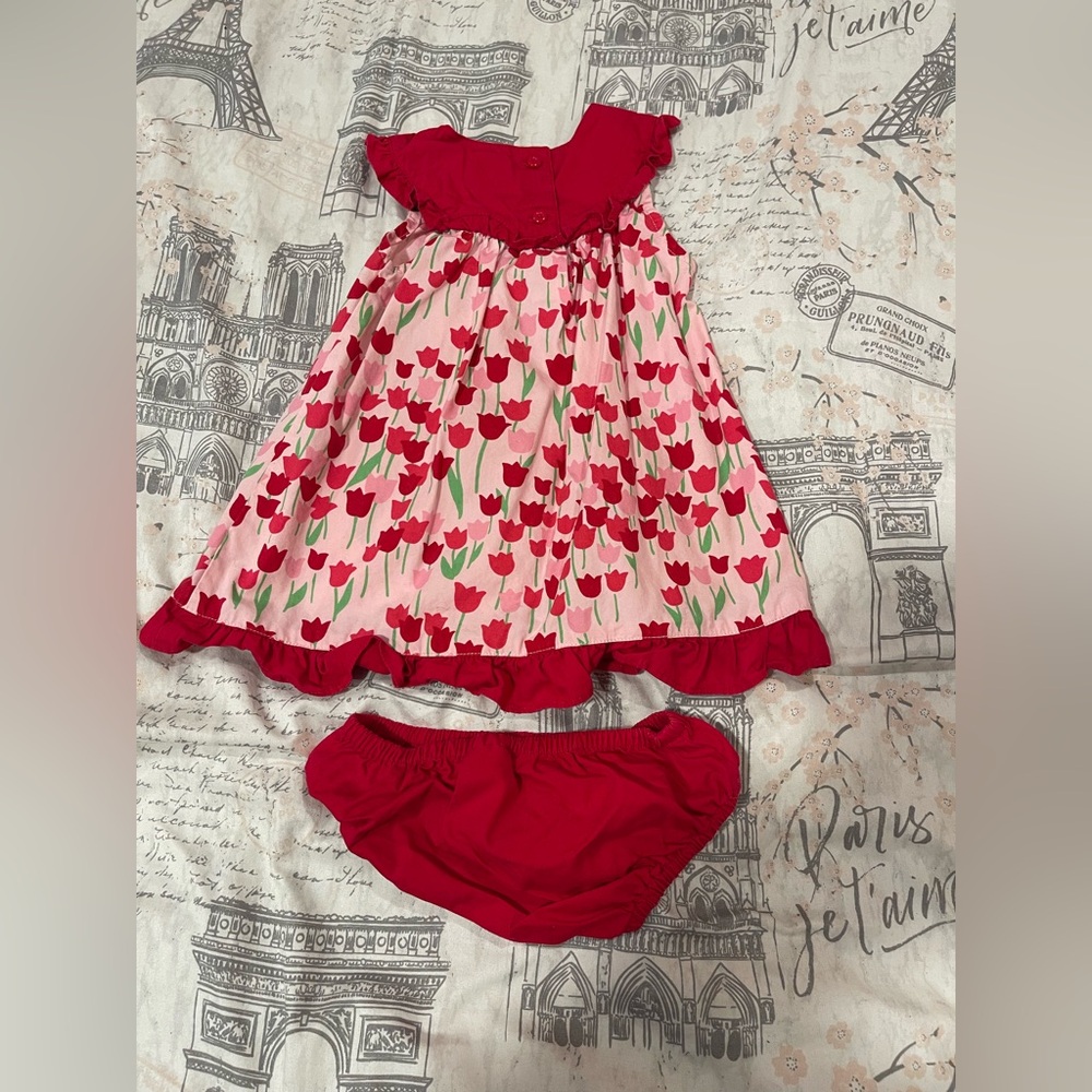 Gymboree 2012 Tulip Dress with bloomers 12-18 mos - Picture 2 of 3